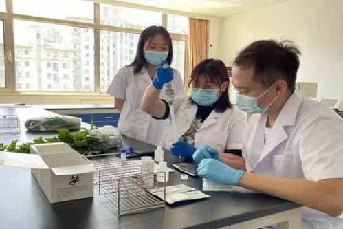 推廣應(yīng)用快速檢測(cè)技術(shù)，筑牢農(nóng)產(chǎn)品質(zhì)量安全“最初一公里”防線